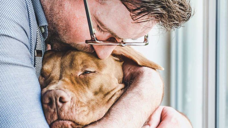 Seeking Comfort From Their Person