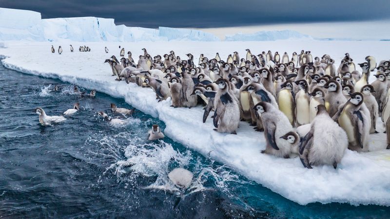 Climate Change Threatens Their Future