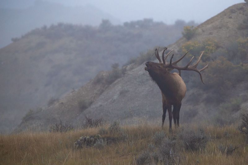 Theodore Roosevelt National Park, North Dakota