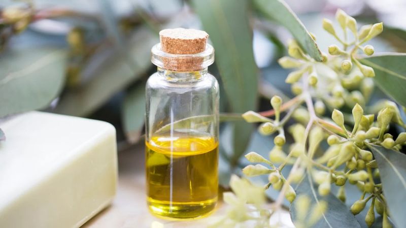 Neem Oil's Natural Shield