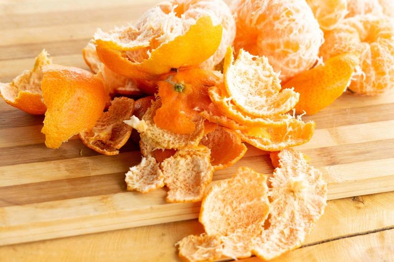 Citrus Zest Shield