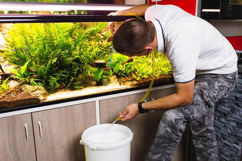 Establish A Cleaning Schedule