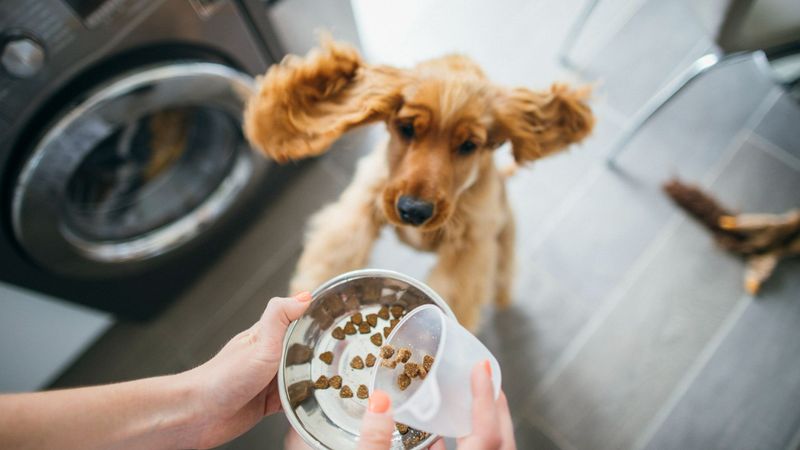 Enthusiastic Mealtime Behavior