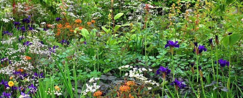 Vanishing Wild Spaces