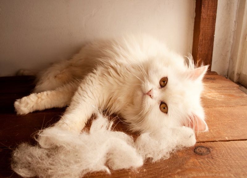 Cleaning Supplies For Shedding Fur