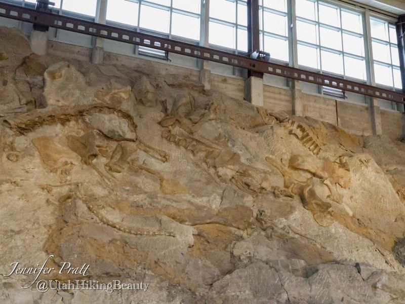 Mighty Excavations At Dinosaur National Monument, Colorado/Utah