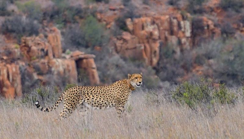 Samara Private Game Reserve, South Africa