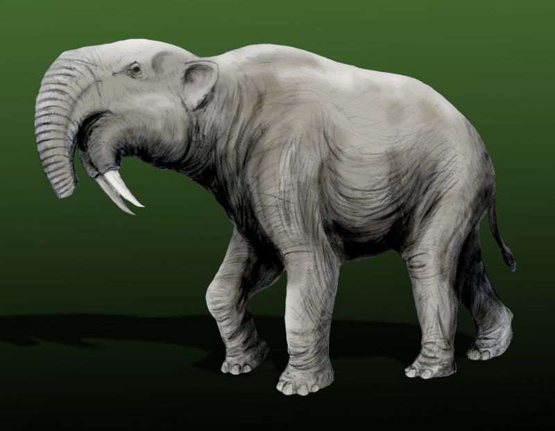 Deinotherium – The Backward-Tusked Giant