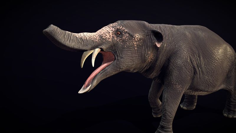 Phiomia – The Trunk Pioneer