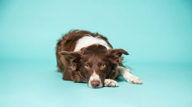 Lengthy Training Sessions Cause Burnout