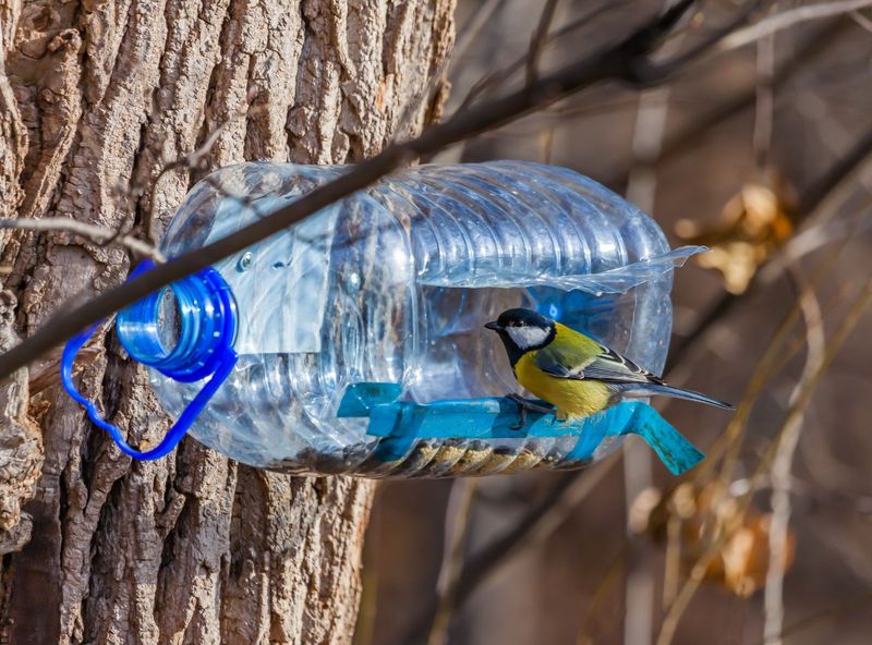 Recycled Bottle Buffet