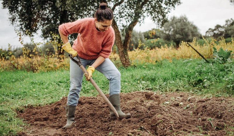 Preparing The Soil For Planting