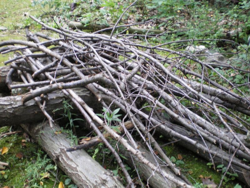 Create A Brush Pile