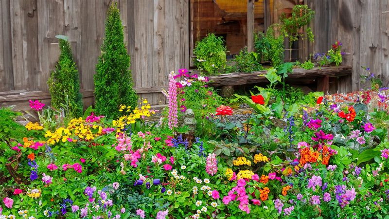 Garden For Insects