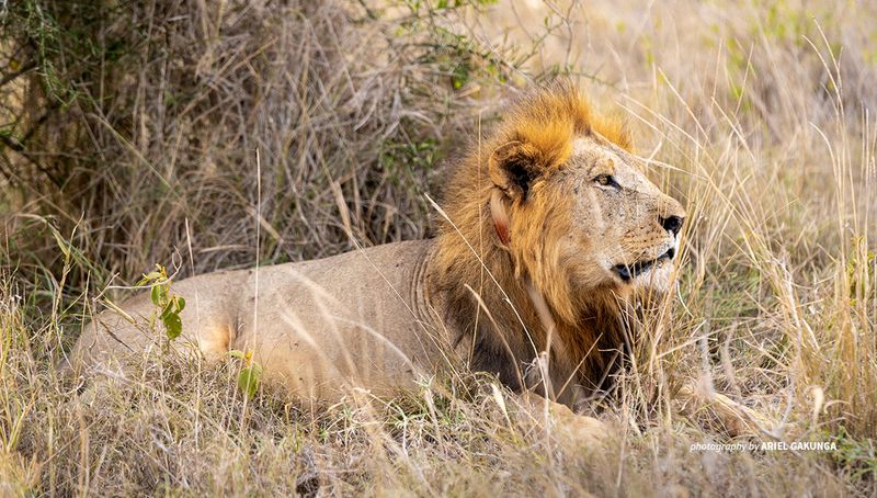 Human–Wildlife Conflict Is On The Rise