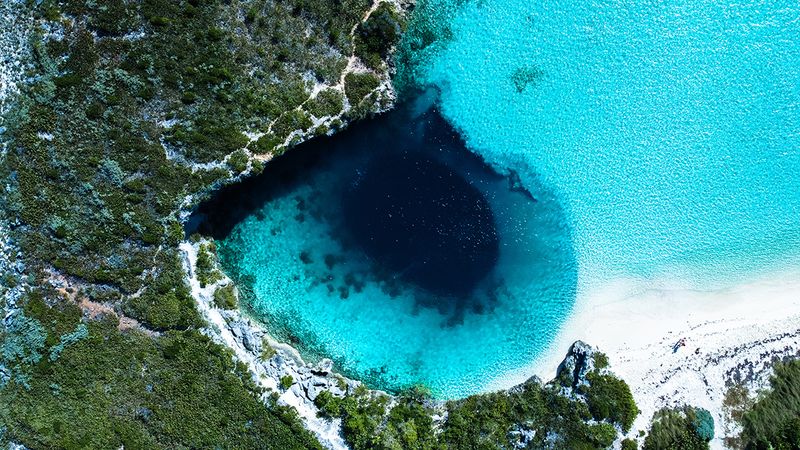 Blue Holes of the Bahamas