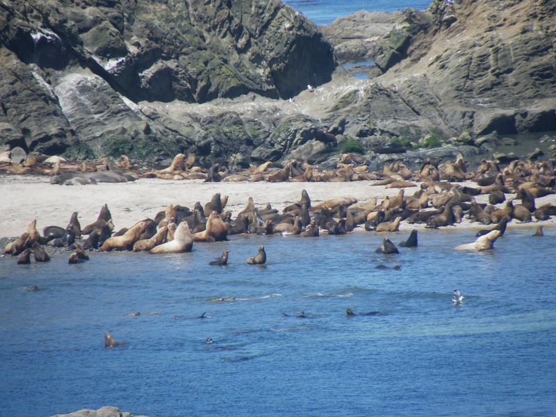 Simpson Reef, Oregon