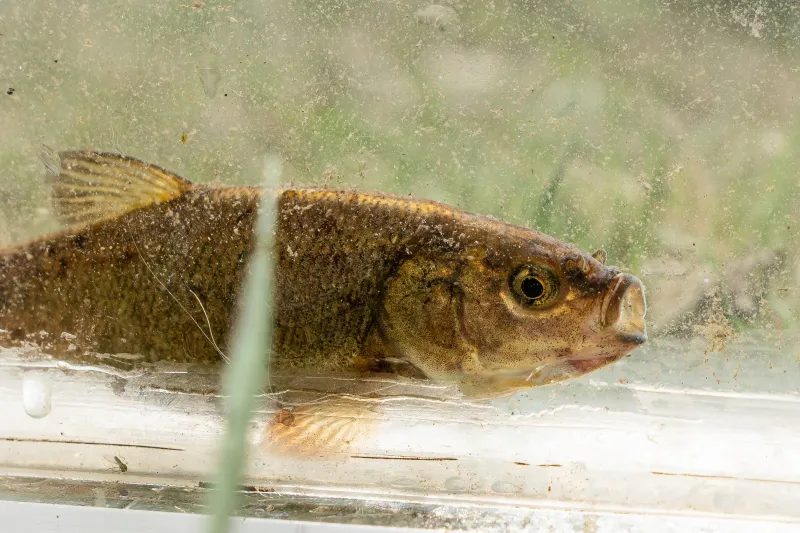 A Troubling Milestone For U.S. Conservation Efforts
