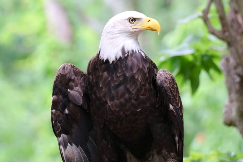 A New Chapter Begins For Endangered Animals