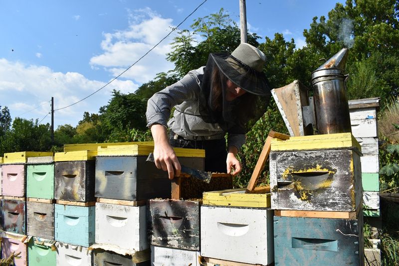 Neighborhood Honey Co-ops Share Resources