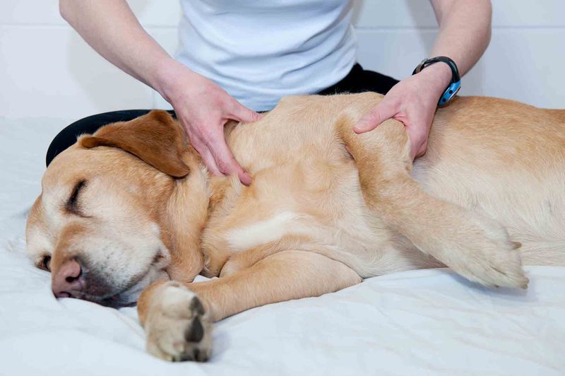 Massage And Touch Therapy