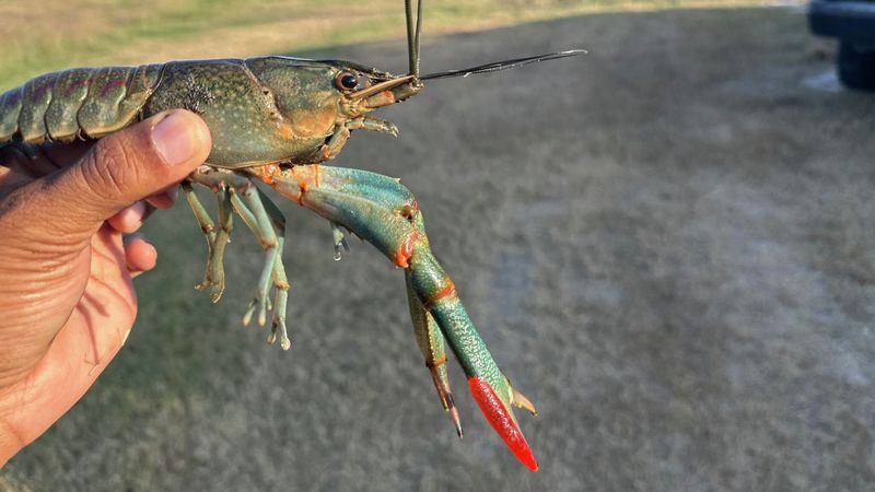 Economic Impacts Hit Fishing Industry