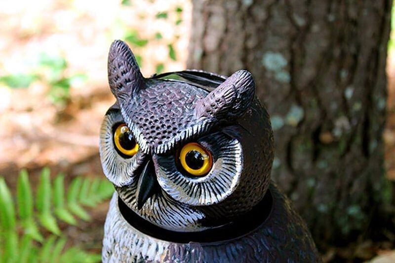 Decoy Owls With Moving Parts