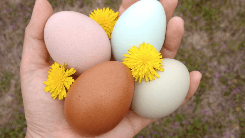 Eggs Won't Always Be Perfect