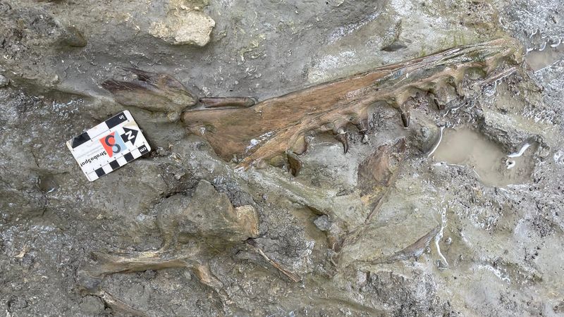 Accidental Discovery Shocks Scientists