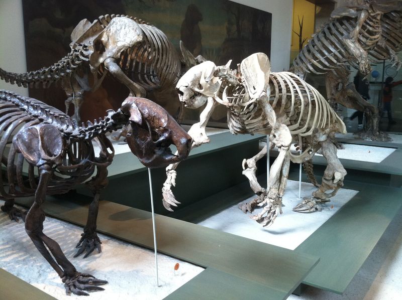 Prehistoric Gardeners Of The Americas