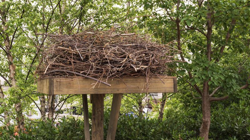 Maintaining The Natural Balance