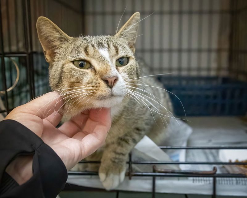 Long Shelter Stays Create Perception Problems