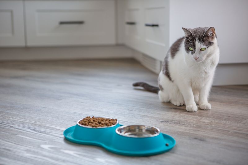 Reduced Appetite And Water Intake