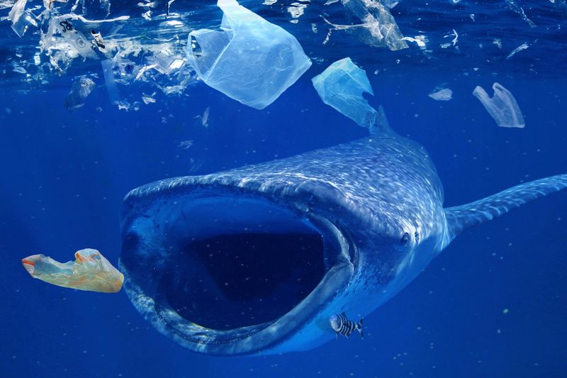 Tanker Waste And Fuel Residue Pollute Waters