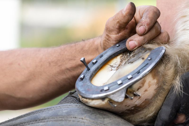 Strategic Shoeing Decisions