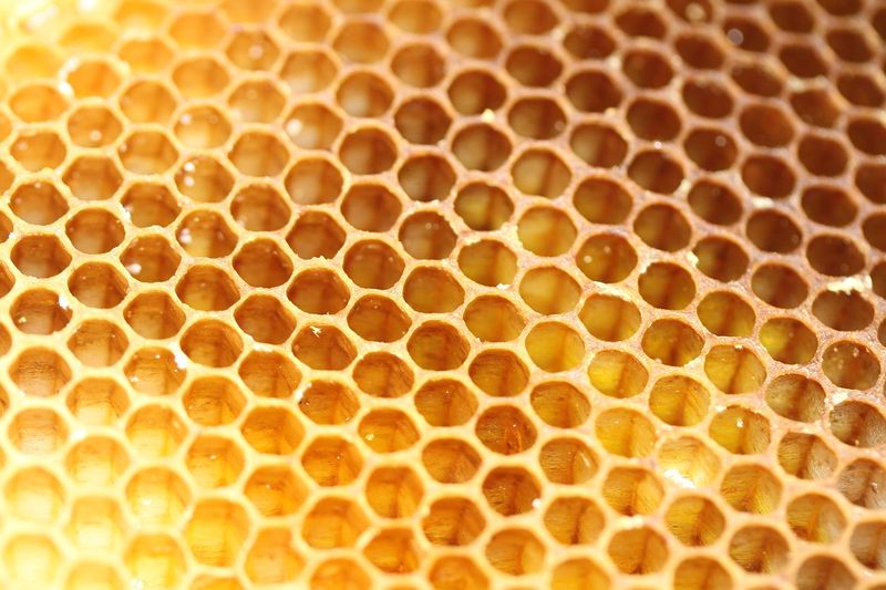 Honeycomb Architecture