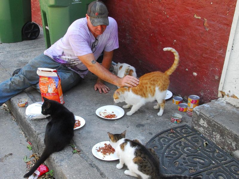 Connect With Local Rescue Organizations