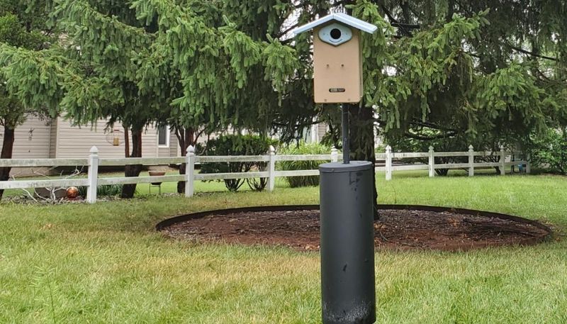 Install Bird Houses Correctly