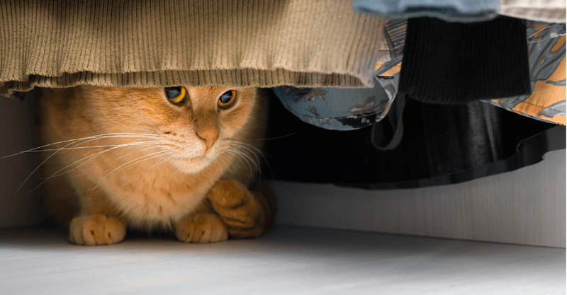 Create Hiding Spots