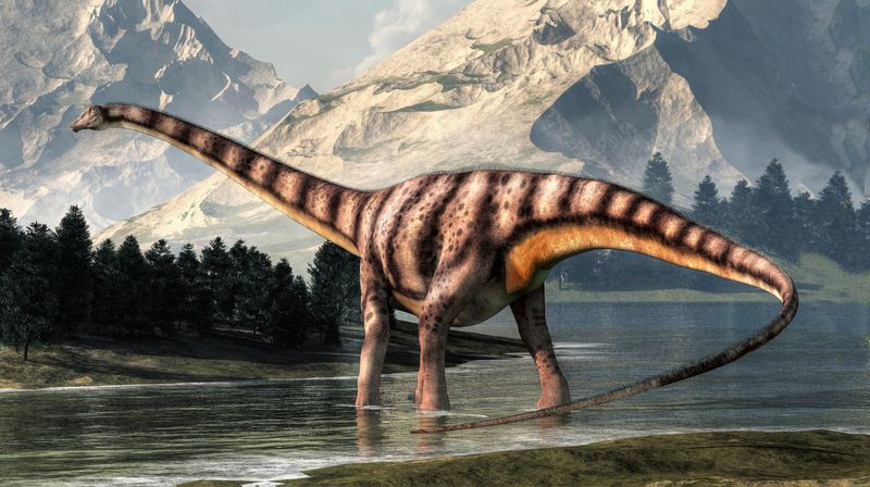 Dinosaurs Didn't Drag Their Tails