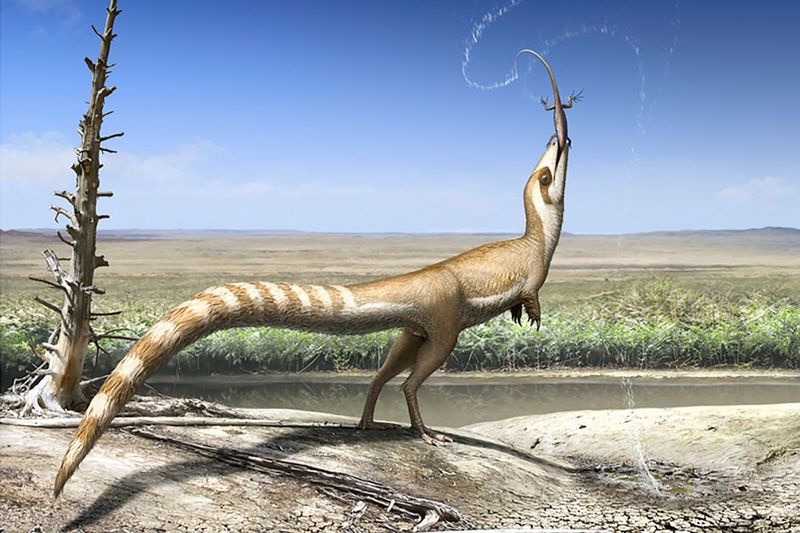 Dinosaurs Had The Same Colors As Modern Reptiles