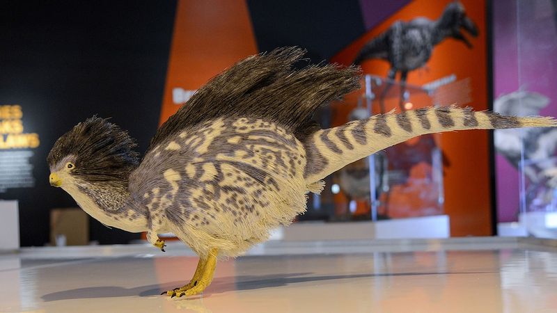 Comparisons To Modern Reptiles