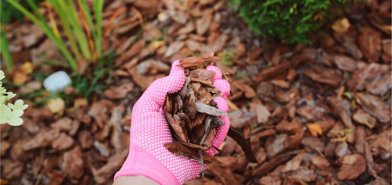 Landscape Mulch
