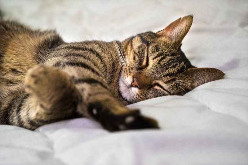 Sleeping Position Changes