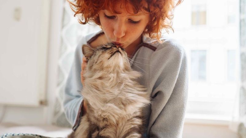 Nuzzling Or Head-Butting
