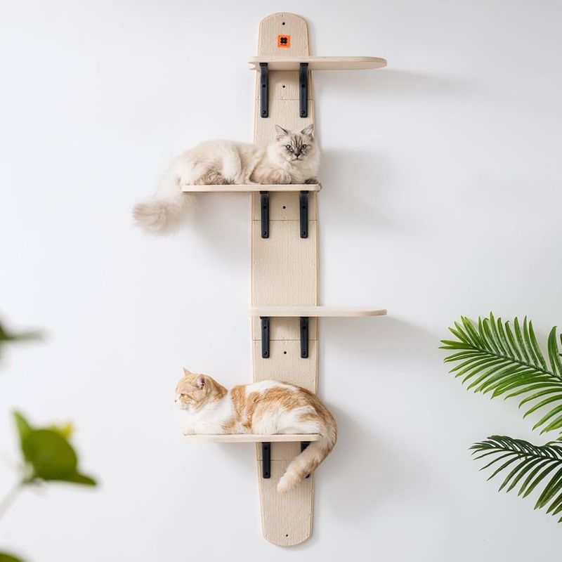 Vertical Space Adventures