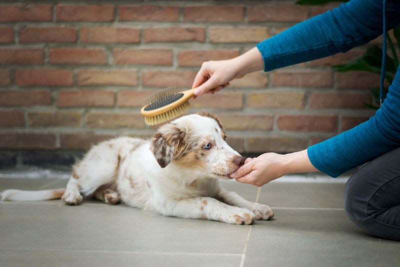 Full-Body Brushing Sessions