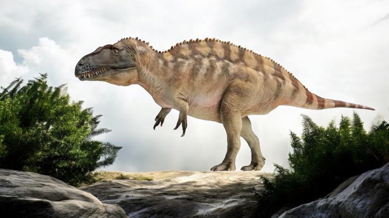 Acrocanthosaurus