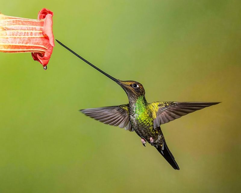 Specialized Feeding Partnerships