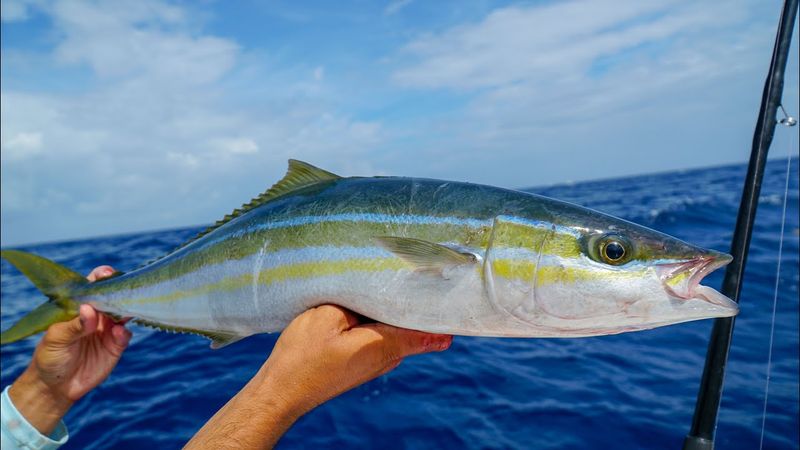Rainbow Runner